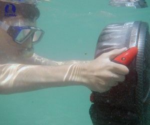 Bladefish Snorkelling