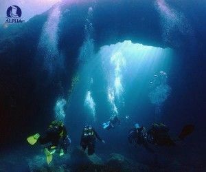 Reef Pack