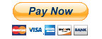Paynow by paypal